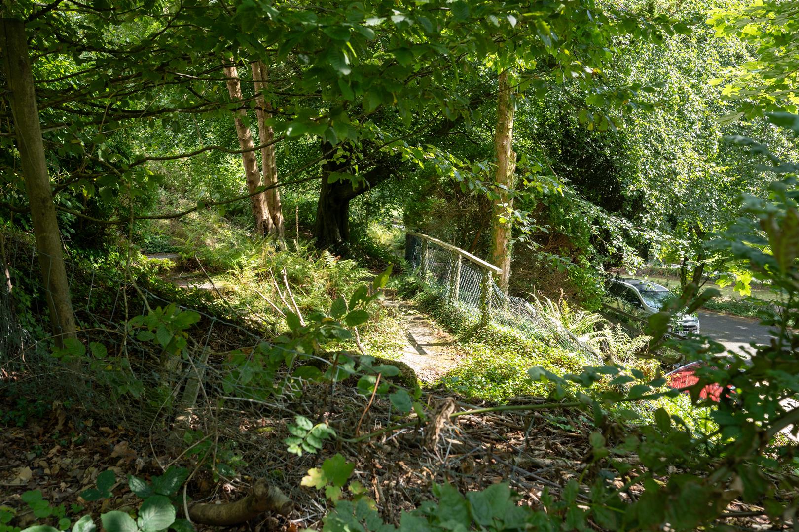 53-Maes Coed.jpg